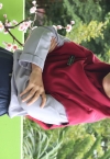 TARA ANGGITA M
